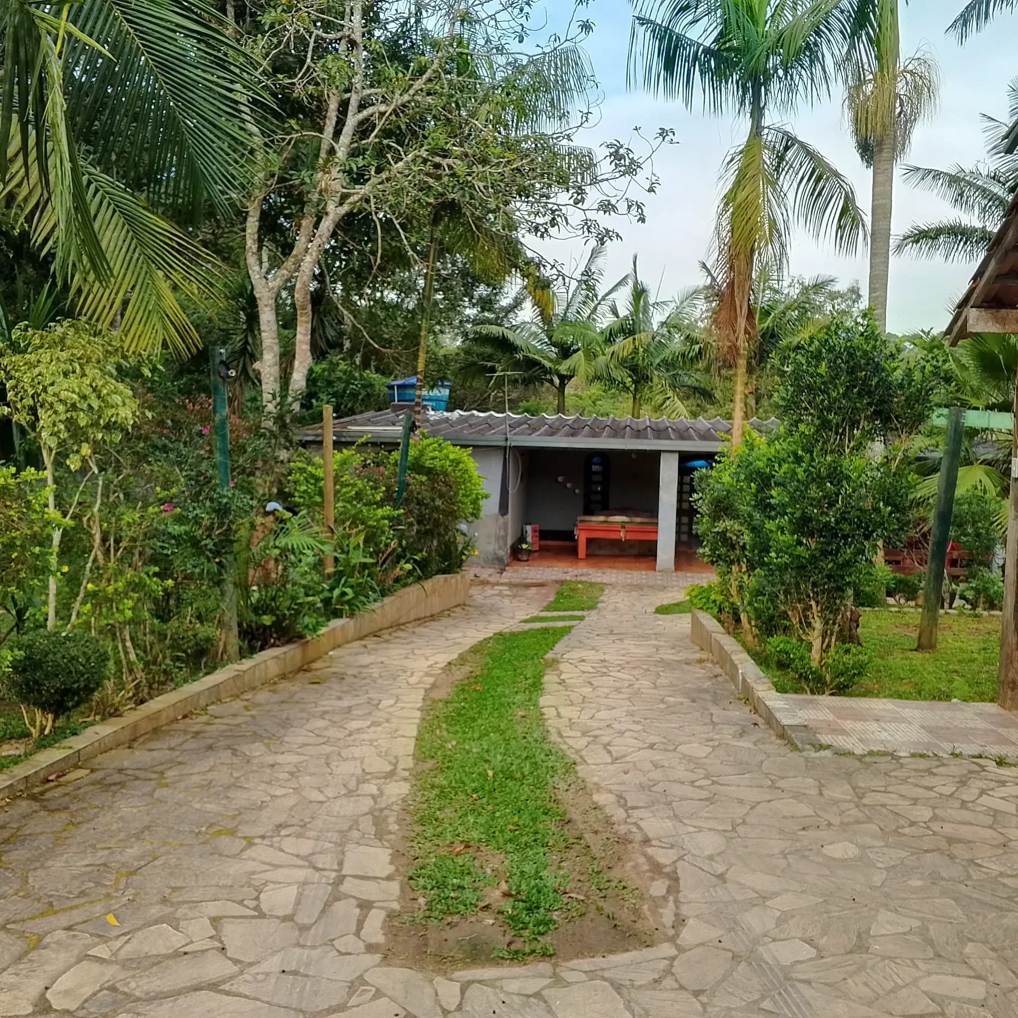 Imagem Chácara com 3 Quartos à Venda, 12.000 m² em Jardim das Cerejeiras - Cotia