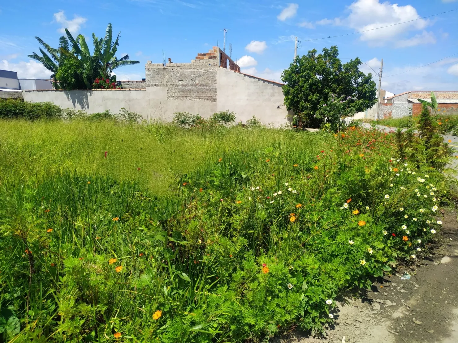 Foto do imóvel Terreno à venda 200M², Cesar Park, Pindamonhangaba - SP