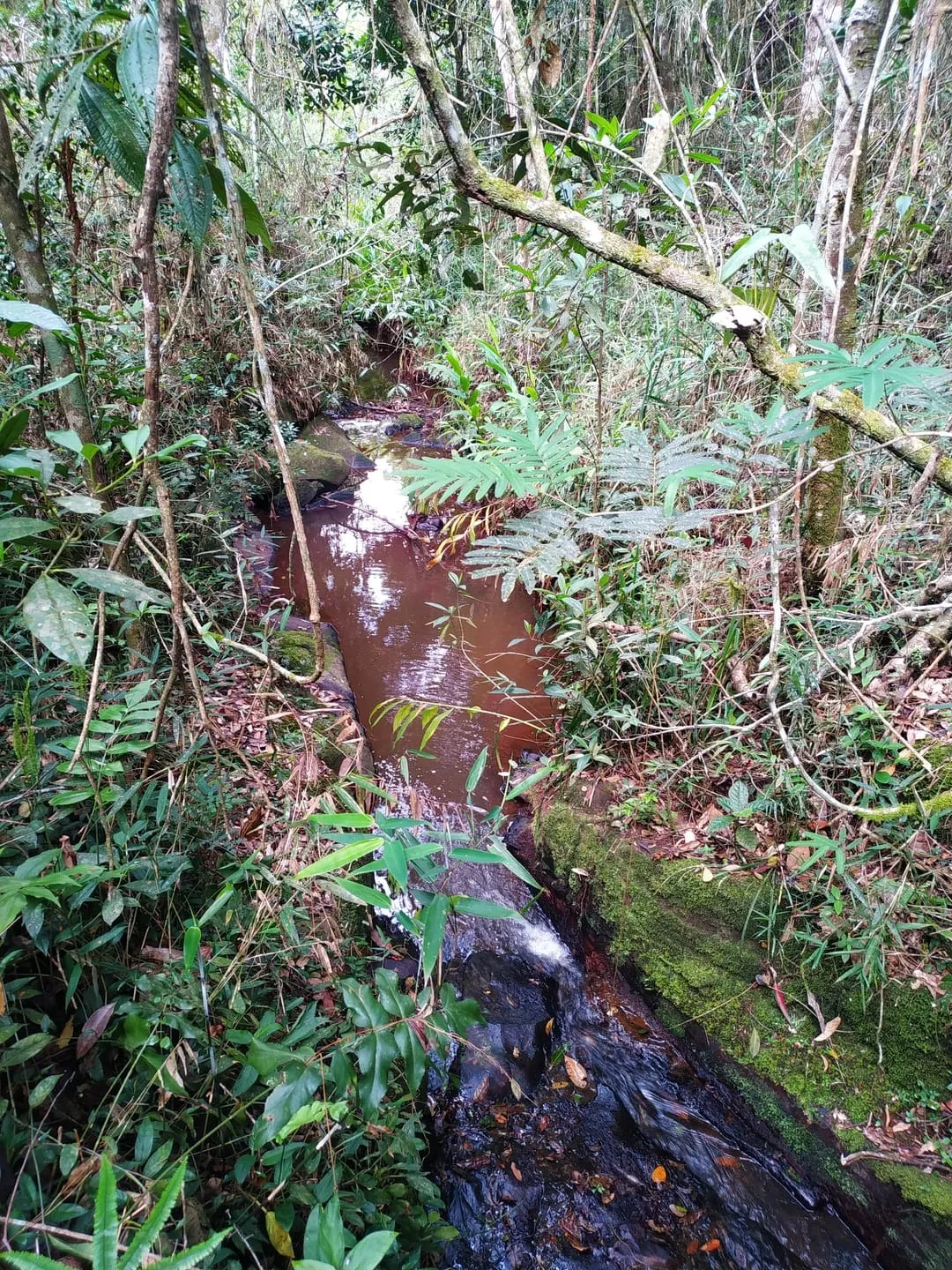Foto do imóvel Chácara à venda 1700000M², Centro, São Luiz do Paraitinga - SP