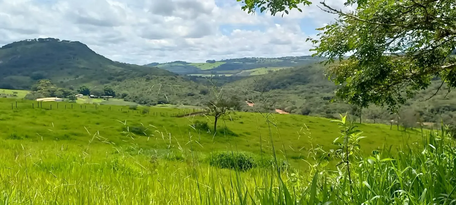 Imagem Vendo uma lindíssima fazenda na cidade de Oliveira/MG com 420 hectares de terra,
