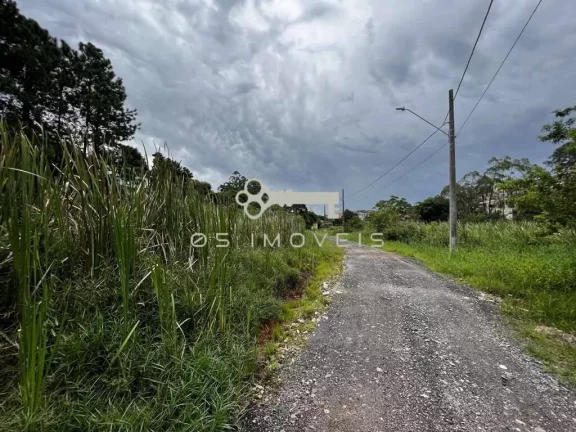 Imagem Terreno na Fazendinha - LOTE 1.420,00 m². Plano e sem árvores grande porte!