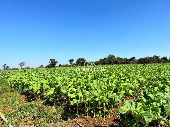 Imagem Área à venda, 550000 m² por R$ 15.000.000,00 - Rancho Três Lagoas - Igarapé/MG