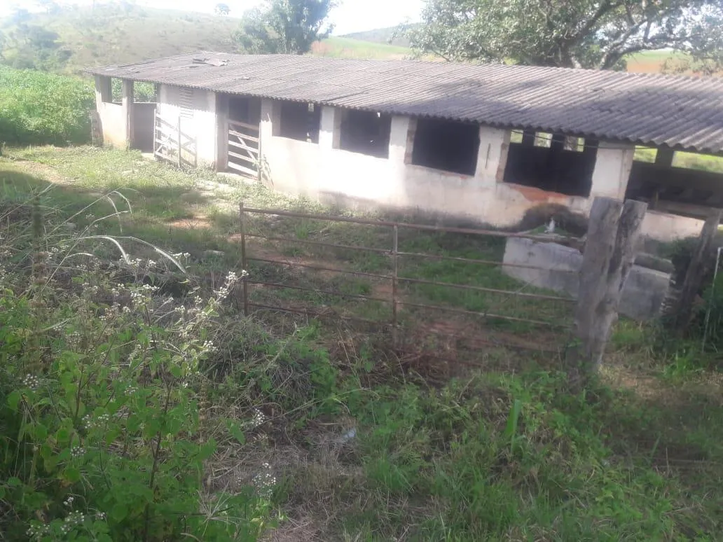 Imagem Vendo uma ótima fazenda em Passatempo 315 hectares