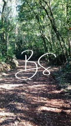 Imagem SITIO RURAL em NOVA PETRÓPOLIS - RS, Linha Pirajá Baixa