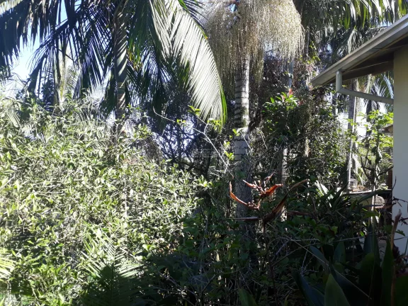 Imagem Casa a VENDA com Chácara de 849m², no Centro de SJBatista, a VENDA, Casa com chácara no centro de São João Batista. Ótima chácara no centro de SJBati