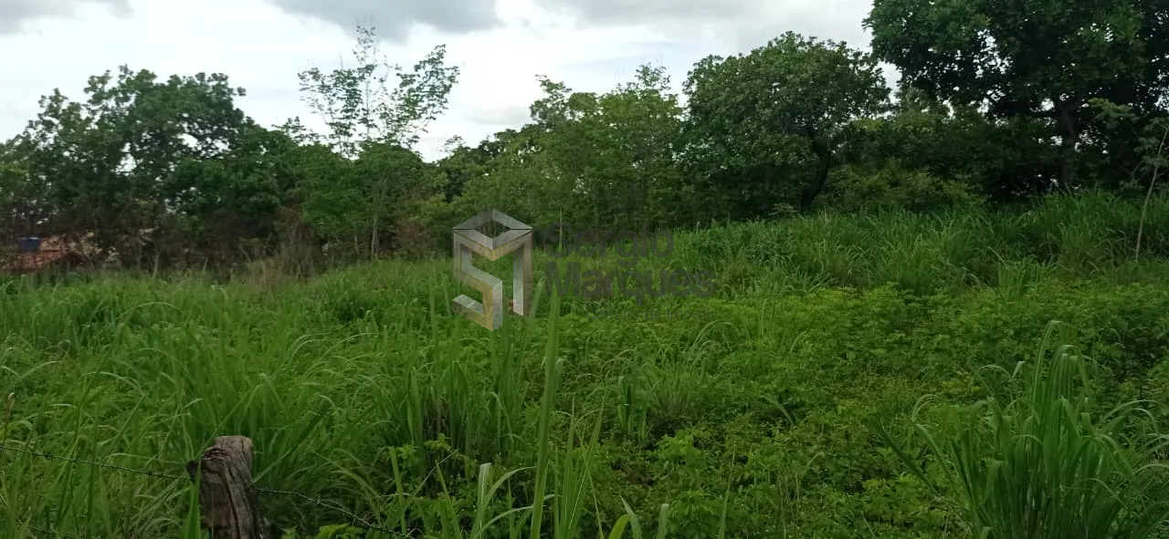 Imagem Fazenda à venda - 700000m² - Floriano-PI