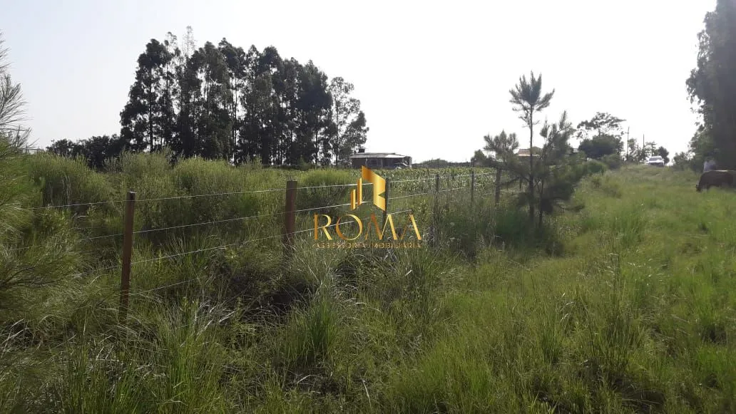 Imagem Terreno à venda Diácono João Luiz Pozzobon Santa Maria/RS