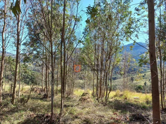 Imagem Área à venda, 6050 m² por R$ 260.000,00 - Furnas de cima - Extrema/MG