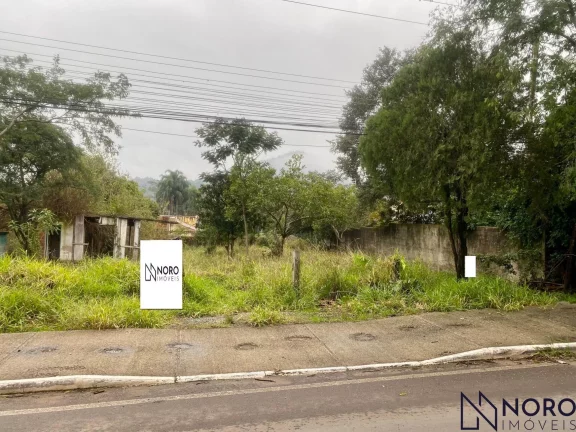 Imagem TERRENO COMERCIAL FRENTE PARA RS 509 BAIRRO PÉ DE PLATANO SANTA MARIA