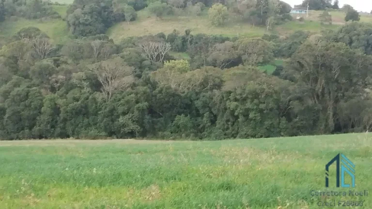 Imagem Sitio a venda, 375,100 mil m² (15.5 alqueires), aproximado 7 alqueires de plantio restante reserva e pasto, em Condói PR