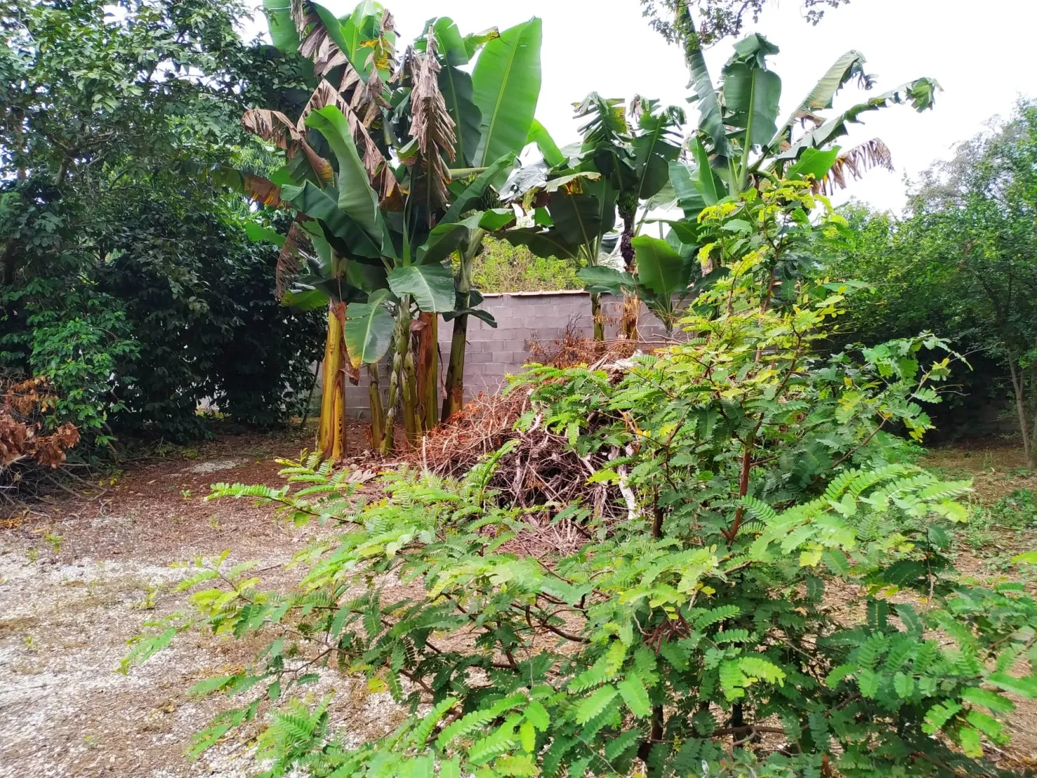 Imagem Chácara à venda 2 Quartos, 1 Suite, 5 Vagas, 2036M², Parque Lago Azul, Pindamonhangaba - SP