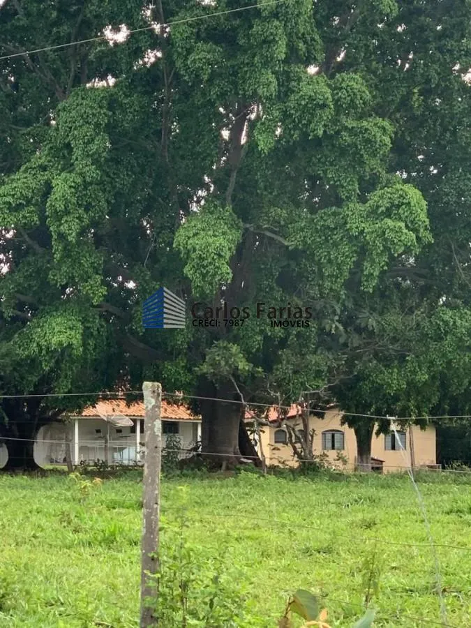 Imagem Fazenda para Venda em Mimoso de Goiás, MIMOSO GOÍAS, 6 dormitórios, 4 suítes, 5 banheiros, 4 vagas