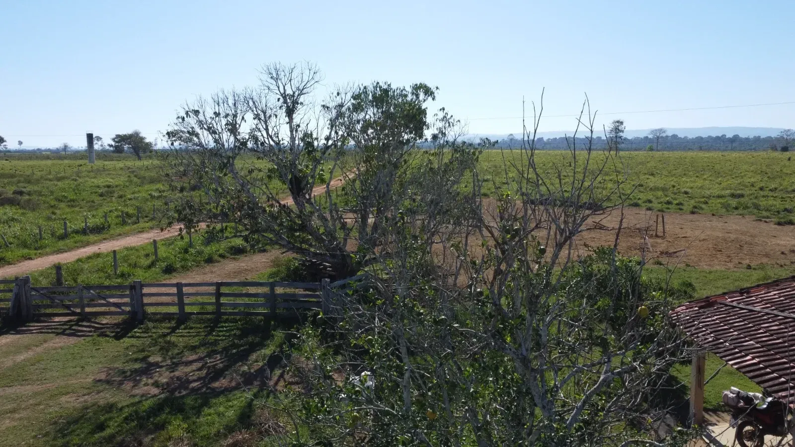 Imagem Fazenda à Venda, 484 HA em São Félix do Xingu - São Félix do Xingu