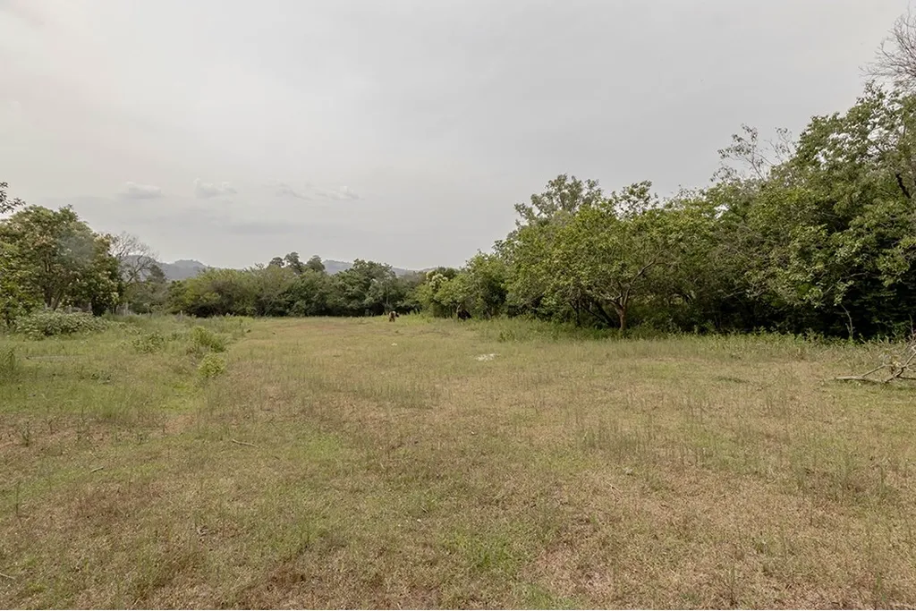 Imagem Terreno em Belém Velho