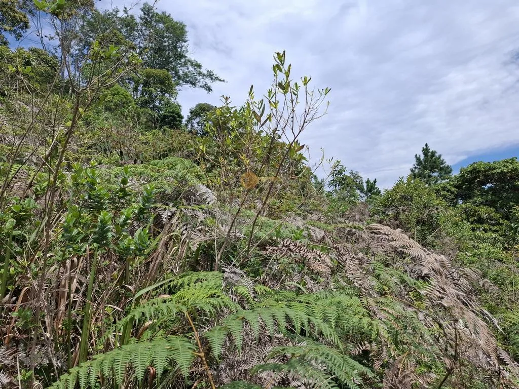 Imagem Terreno em Condomínio para Venda em Teresópolis / RJ no bairro Albuquerque