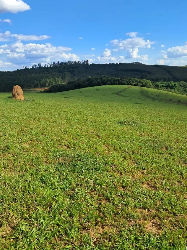Imagem Terreno à Venda entre Oliveira e Morro do Ferro: 33 Hectares com Topografia Plana