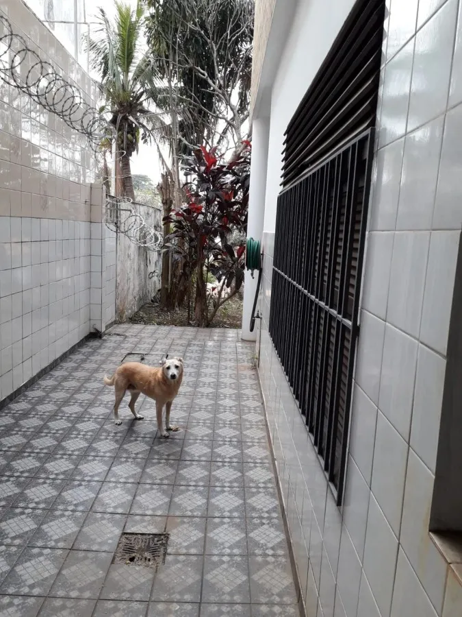 Imagem Casa para Venda em São Paulo, Perdizes, 7 dormitórios, 2 suítes, 4 banheiros, 4 vagas