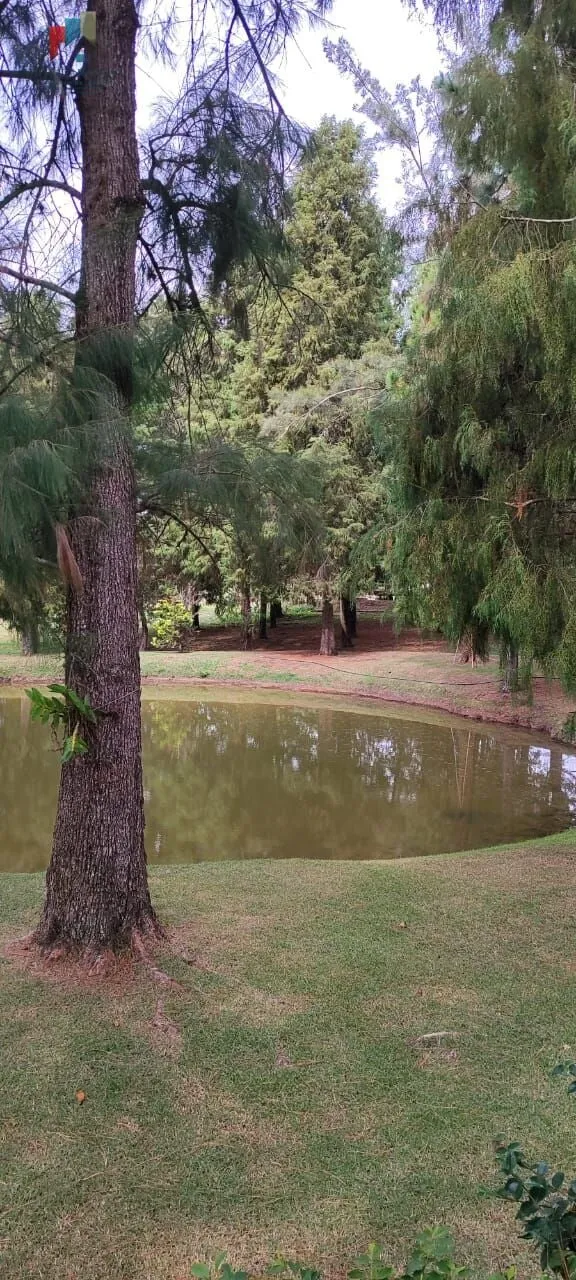 Imagem Sítio a venda Itapetininga SP