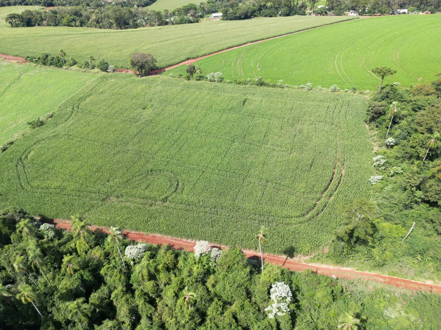Imagem Chacara a venda em Rio do Salto Cascavel