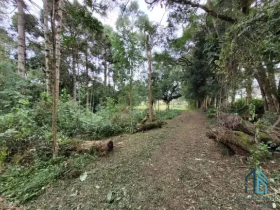 Imagem (PERMUTA) Chácara a venda c/ casa 04 quartos, em São José dos Pinhais PR