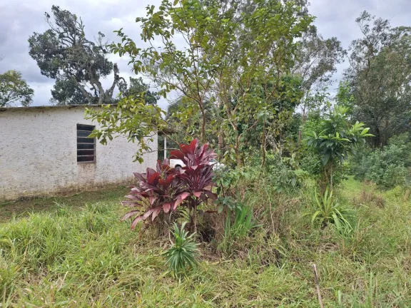 Imagem PRÓXIMO VILA VENTURA, 1.2 Hectares, junto ao asfalto, casa simples, Viamão.