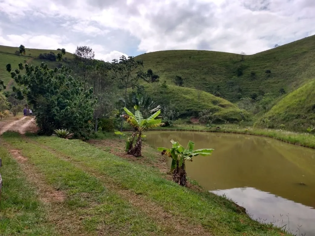 Imagem Chácara à venda 2 Quartos, 135000M², Zona Rural, Piquete - SP