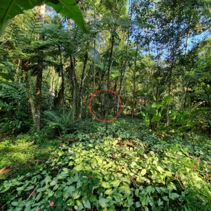 Imagem Lindo terreno na Beira Rio, com 1500 mt com patamar e area de preservaçao.
