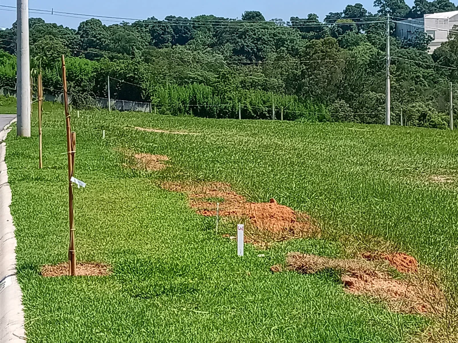 Imagem Explore o seu Novo Lar no Villaggio Itália: Terreno de 250m² na Parte Alta do Condomínio!