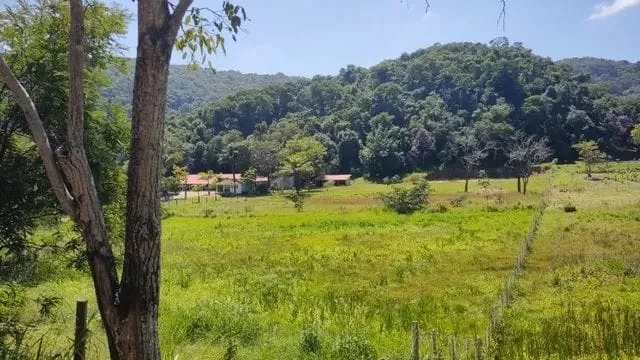 Foto do imóvel Chácara à venda 66000M², Barreiro, Taubaté - SP