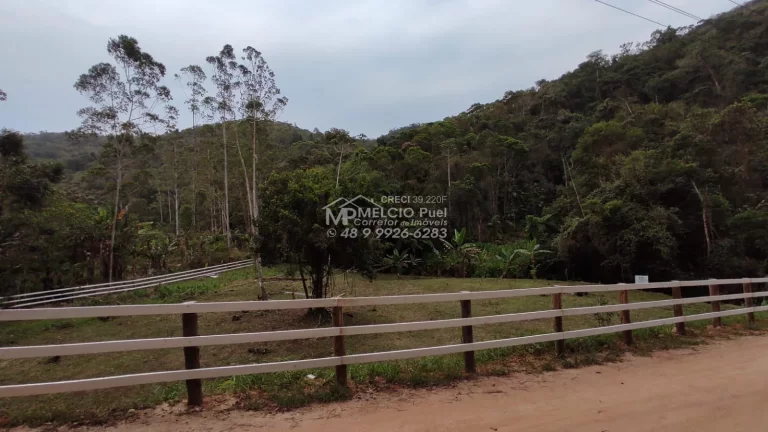 Imagem VENHA CONHECER O PARAÍSO NOVA TRENTINO! SÍTIO RECANDO DA ESPERANÇA Você está em busca de um refúgio tranquilo, próximo à natureza