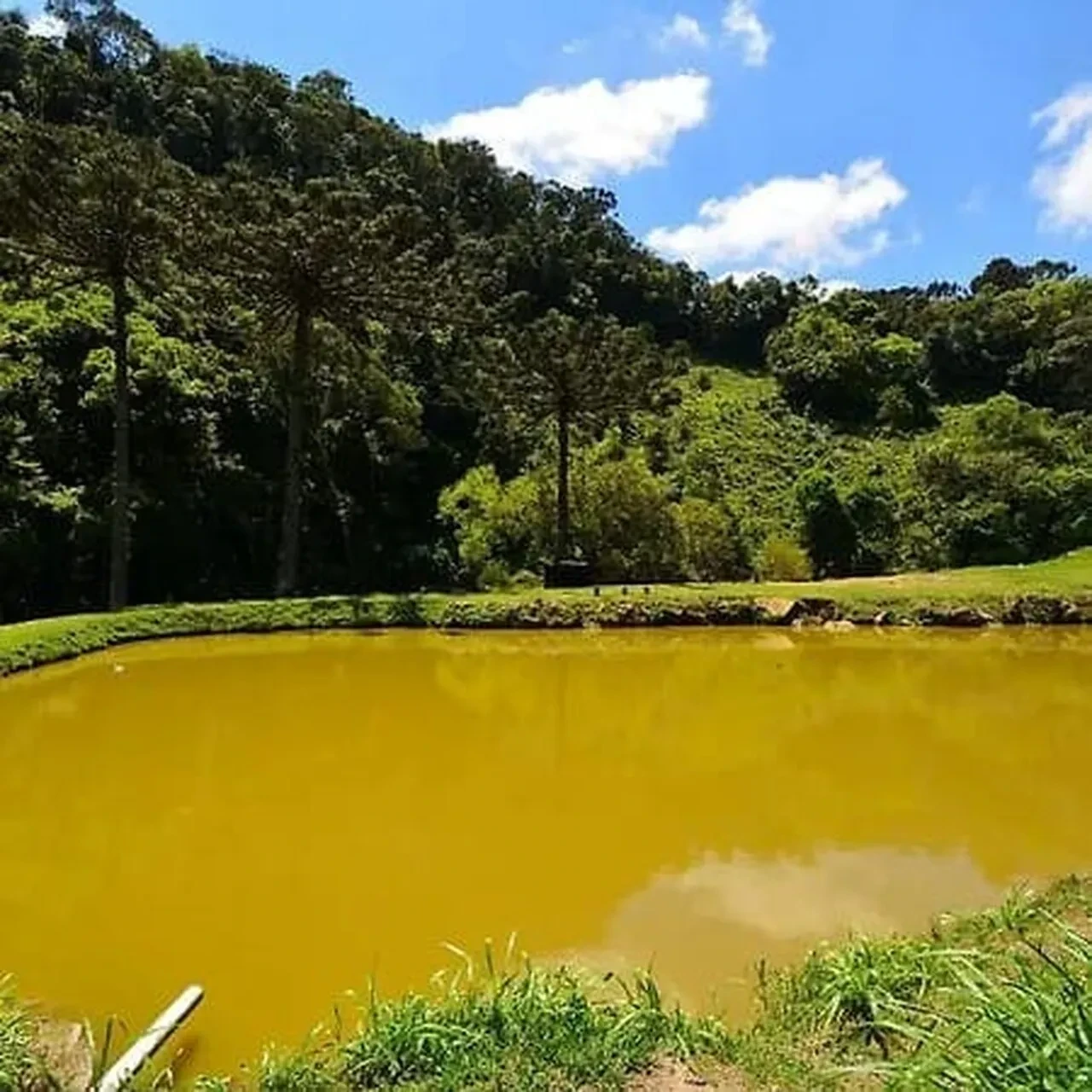 Imagem Chácara com 9 Quartos à Venda ou Temporada, 800 m² em Alfredo Wagner - Alfredo Wagner