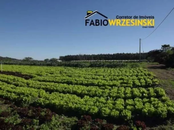 Imagem Terreno - Industrial e Comercial para Venda em Araquari/SC