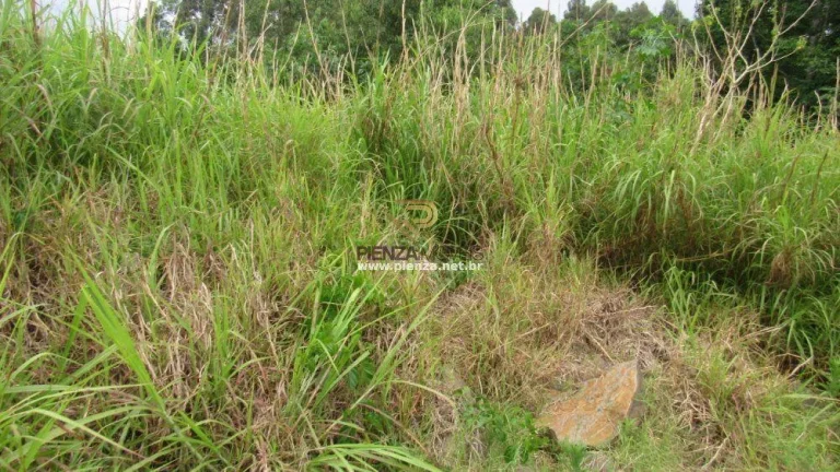 Imagem Terreno para Venda em Concórdia, Industriários