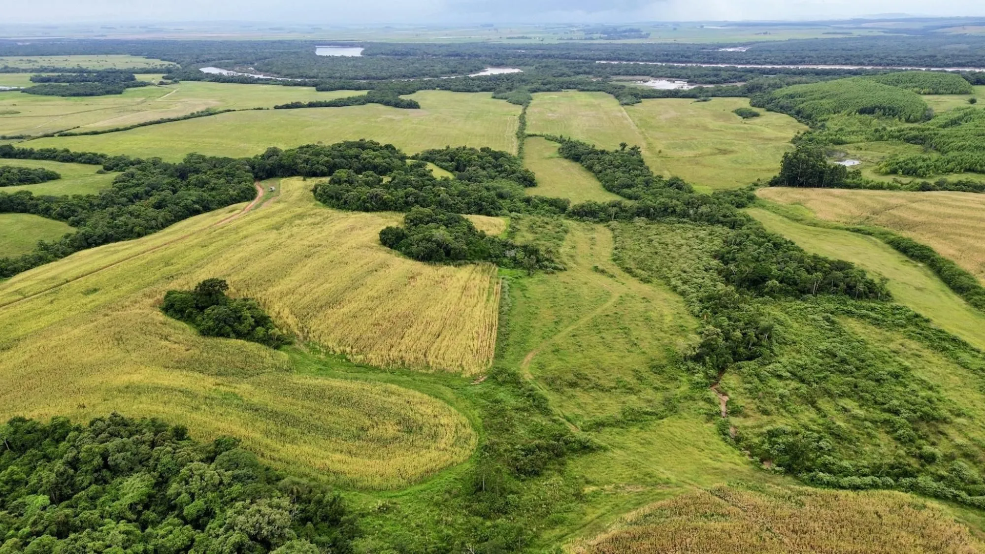 Imagem Fazenda à venda no Vale Verde - RS - 433 hectares. Ideal para Arroz e Soja.