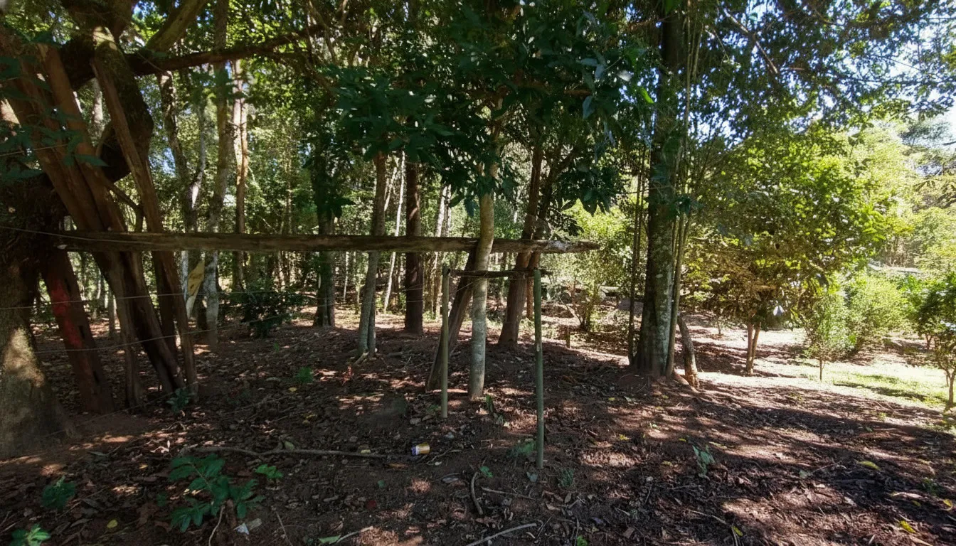 Imagem Chácara à venda em Souza Lima, Poços de Caldas