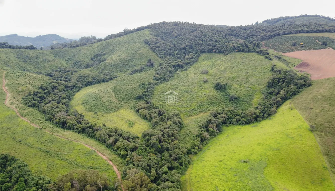 Imagem Fazenda 0,03 ha à venda em Zona Rural, Poços de Caldas