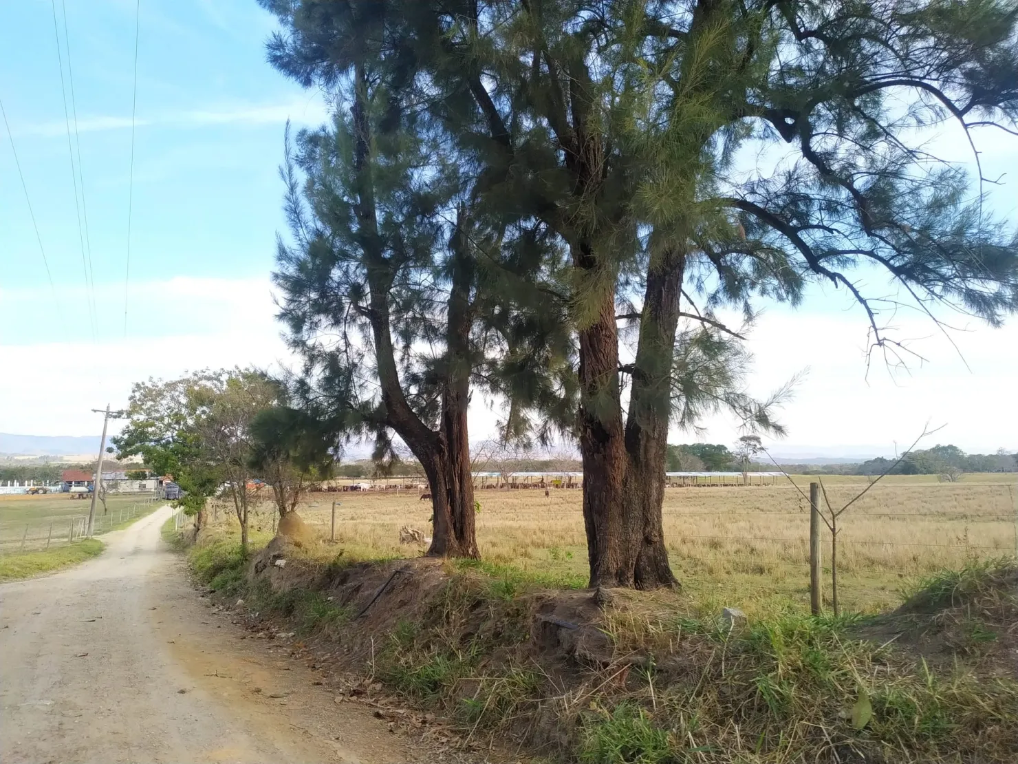 Imagem Chácara à venda 3 Quartos, 1 Suite, 4840000M², Zona Rural, Cachoeira Paulista - SP