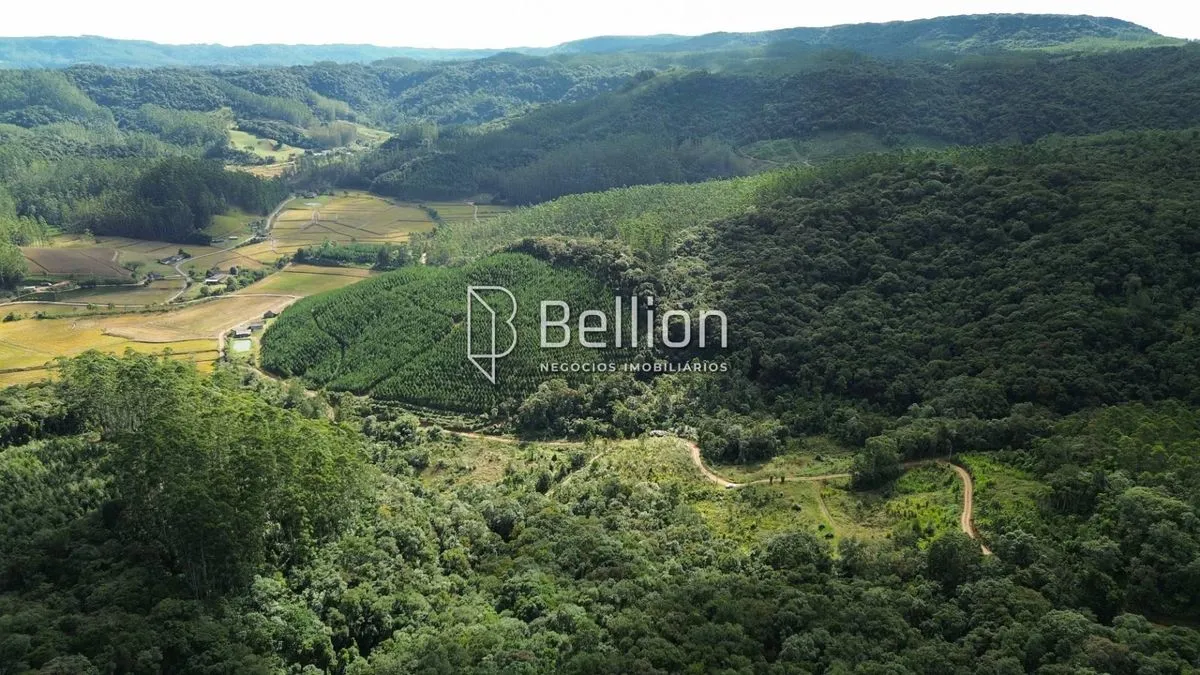 Imagem 141.367m² com Cachoeira e Potencial para Chalés em Ribeirão Coração, Benedito Novo