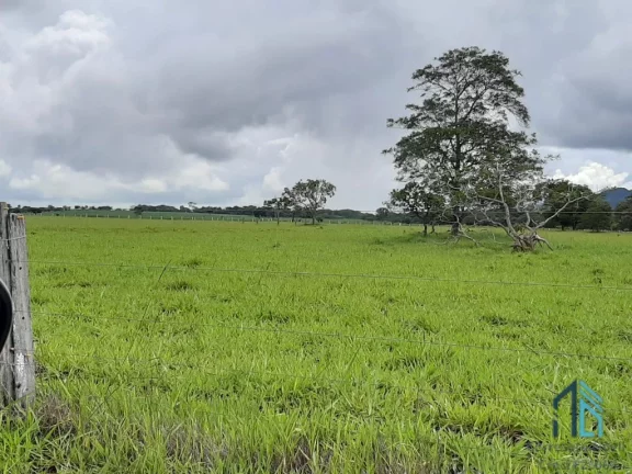 Imagem Fazenda linda 39 alqueires, com casa peão e casa sede, Município de Mossamedes GO