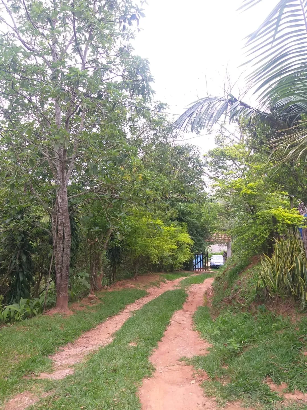 Imagem Chácara à venda 2 Quartos, 6 Vagas, 6000M², Borba, Pindamonhangaba - SP
