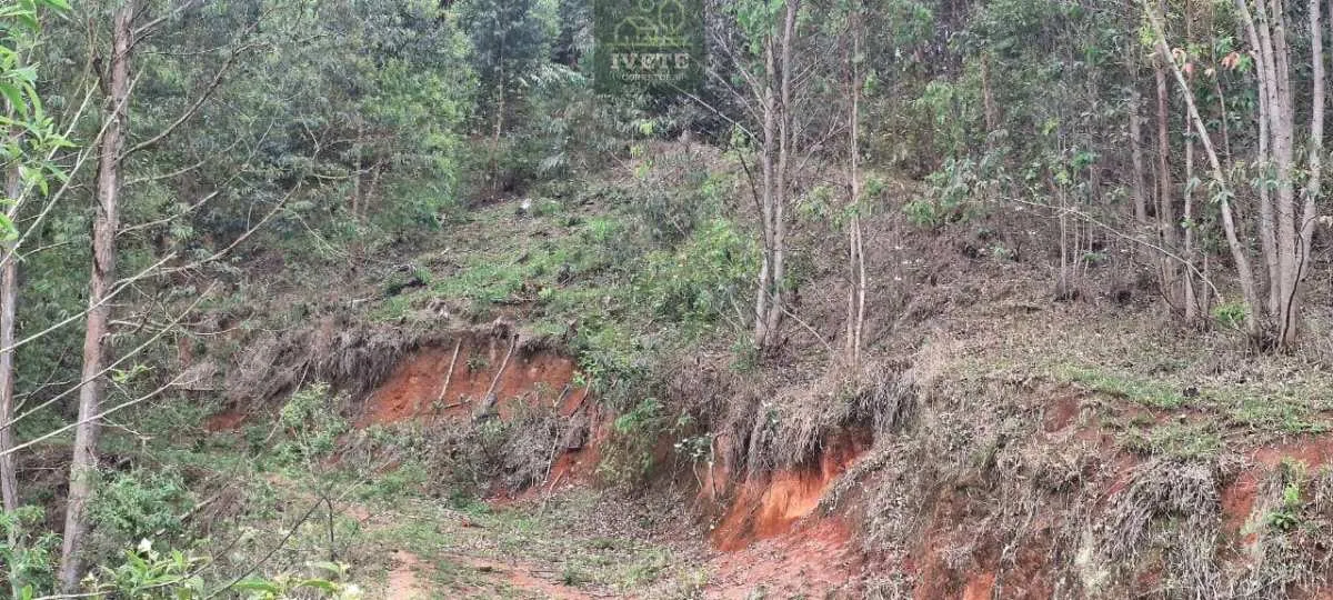 Imagem Ampla Área à Venda no Bairro da Lagoa - Socorro/SP