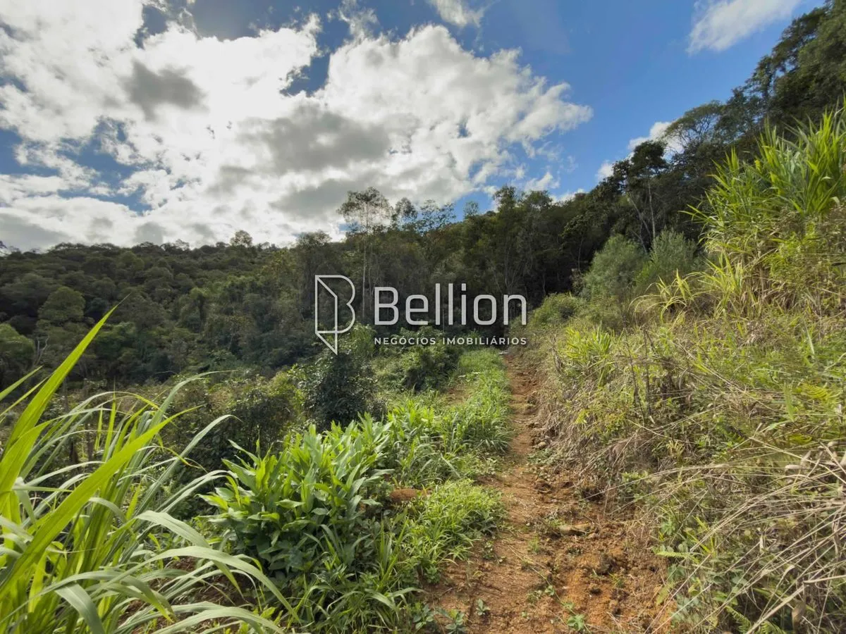 Imagem 141.367m² com Cachoeira e Potencial para Chalés em Ribeirão Coração, Benedito Novo