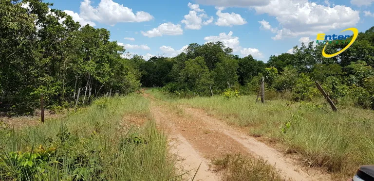 Imagem Fazenda à Venda, 681.000 m² em rural - São João D'Aliança