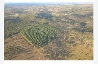Imagem Fazenda Completa e Produtiva em Curvelo/MG 535 hectares