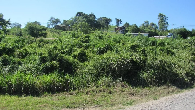 Imagem Terreno para Venda em Concórdia, Colibri