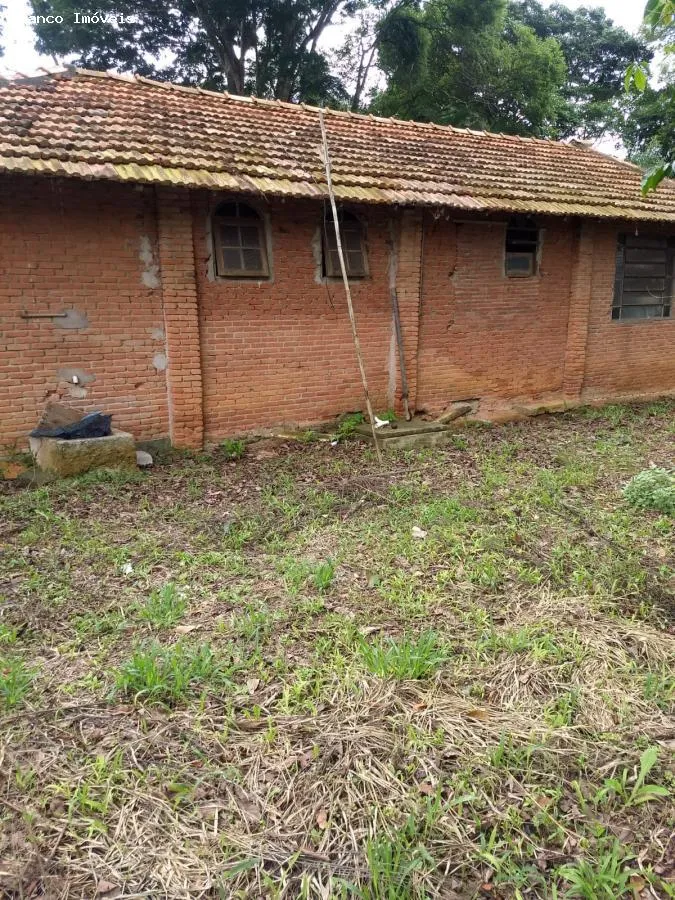 Imagem Sítio para Venda em Suzano, Ipelândia