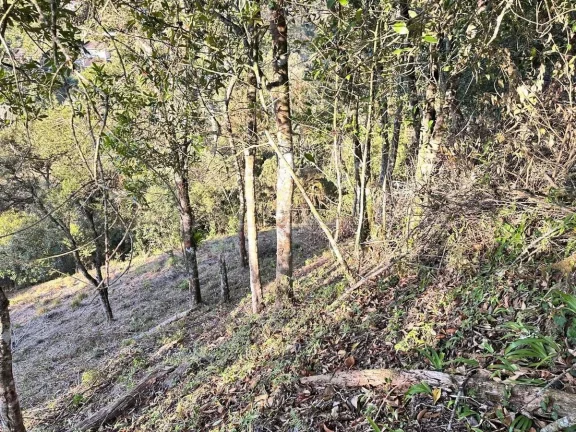 Imagem Lote Exclusivo com Vista Panorâmica