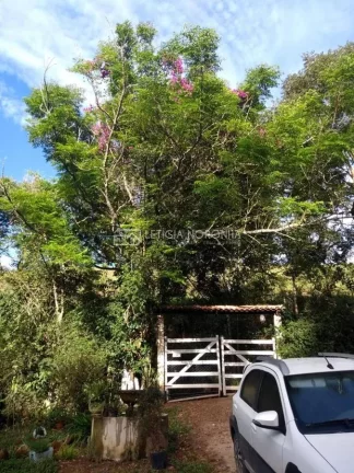 Imagem Sítio a venda