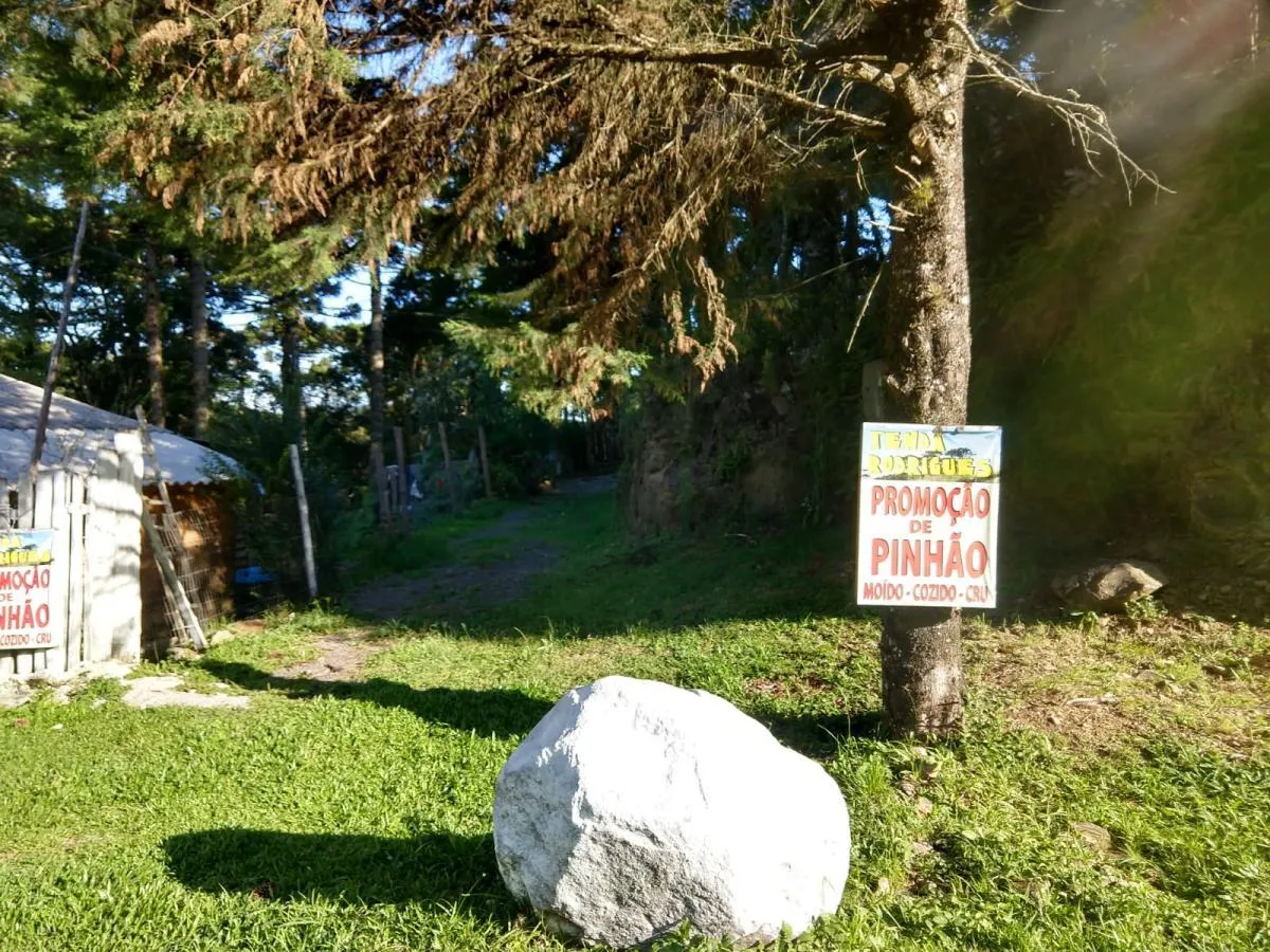 Imagem Terreno para Venda em São Francisco de Paula / RS