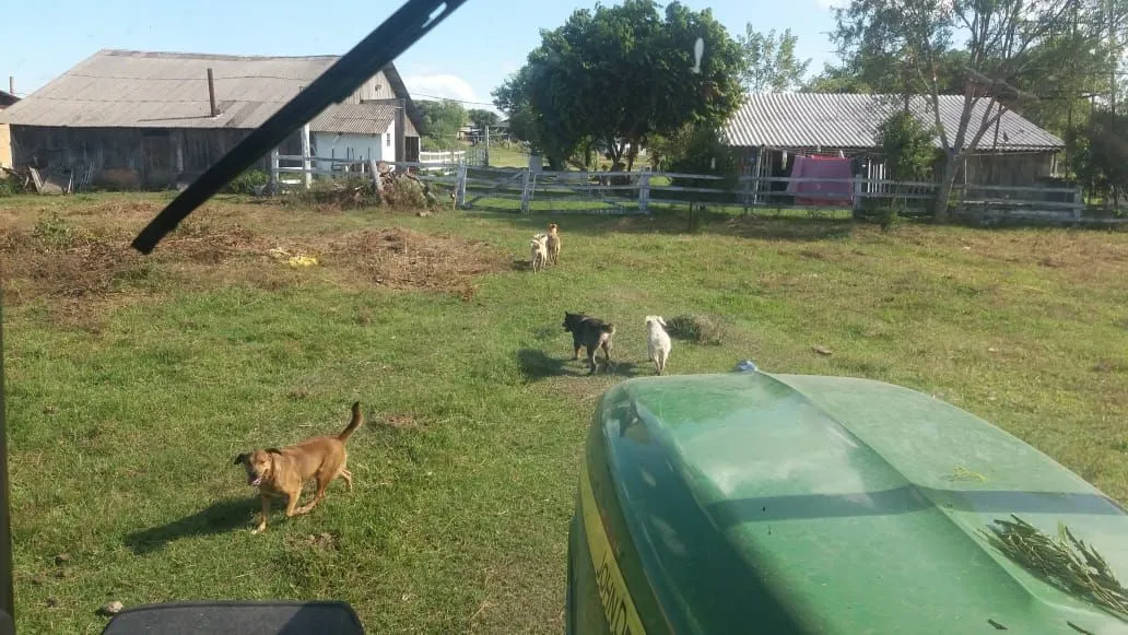 Imagem Sítio em Pedreira